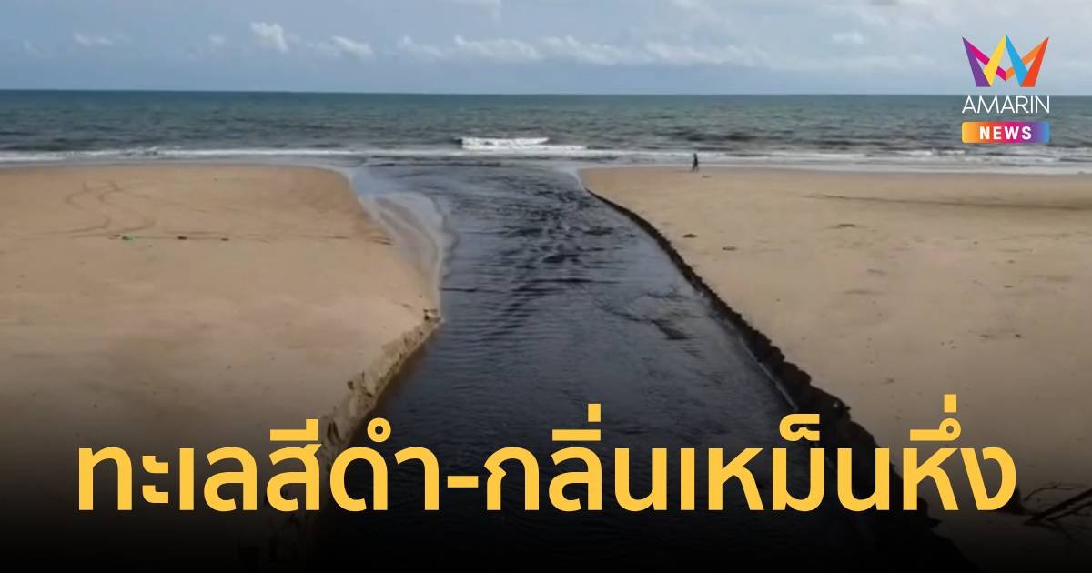 หาดดังระยอง น้ำทะเลเป็นสีดำ ส่งกลิ่นเหม็นยาวกว่า 3 กม.   