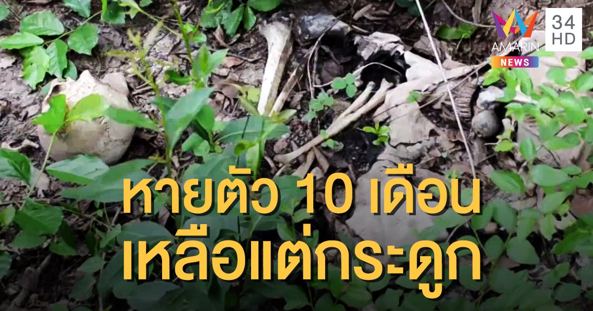 หนุ่มใหญ่หายตัว 10 เดือน พบเป็นโครงกระดูกในป่า
