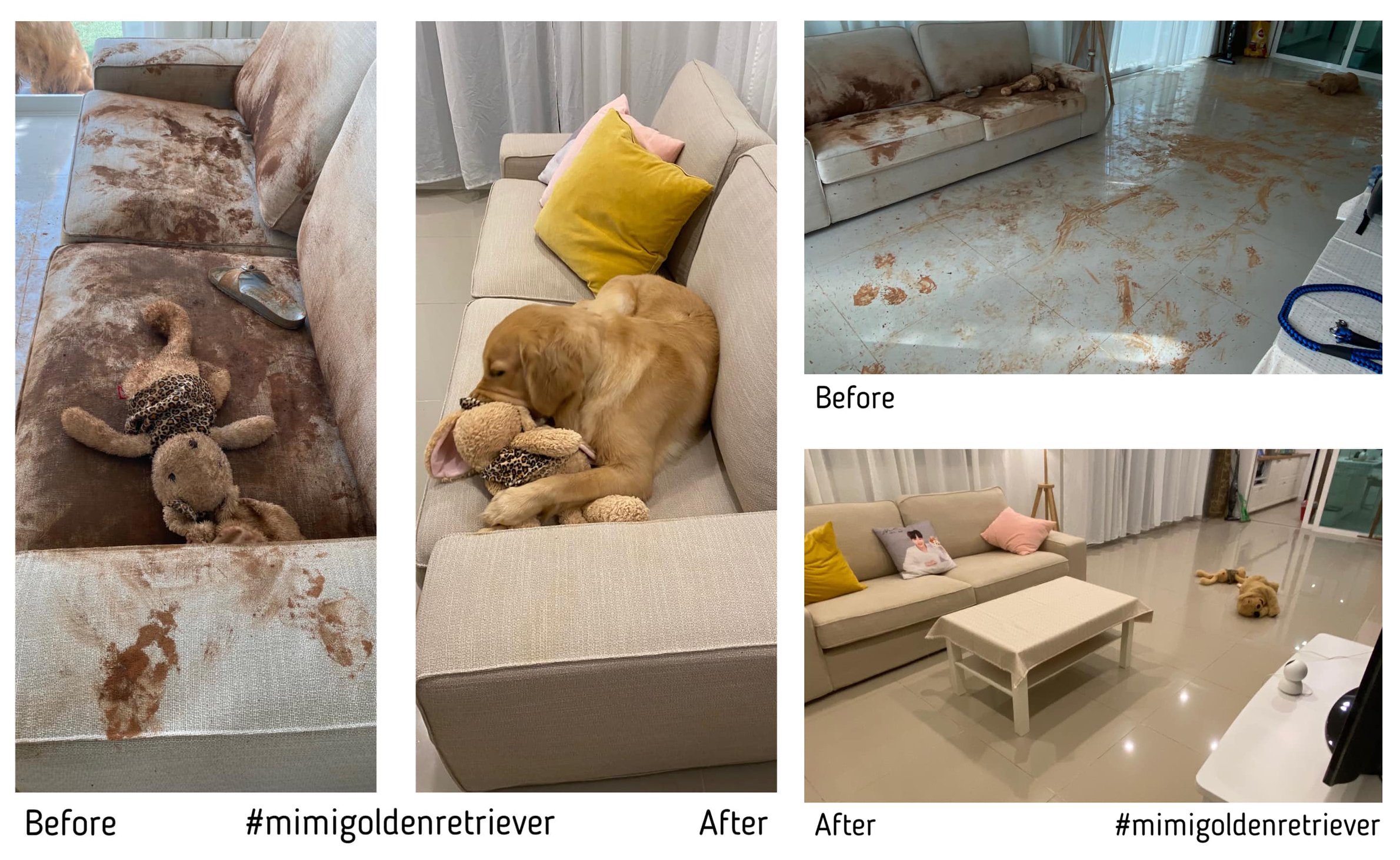 131411261_10219872110380852_7