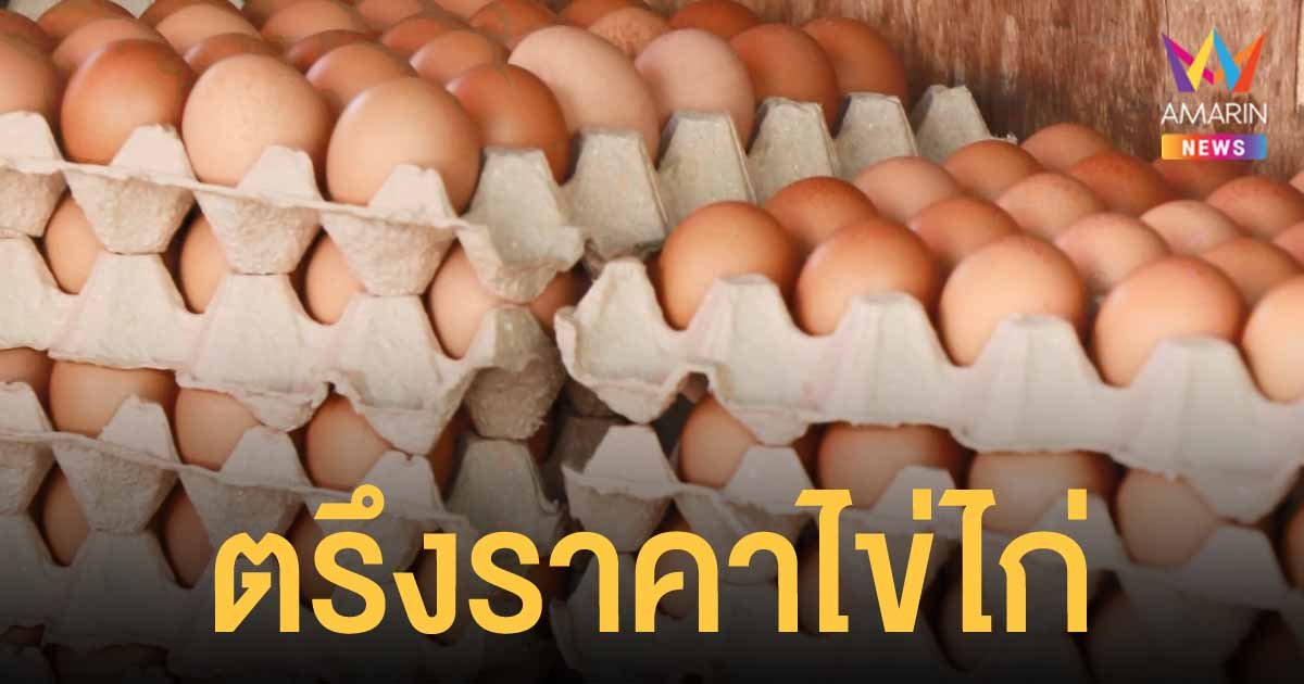 ก.พาณิชย์ สั่งตรึงราคา ไข่ไก่ หน้าฟาร์มฟองละ 2.9 บาท พร้อมตั้งจุดขาย หมู-ไก่ ราคาถูกทั่วประเทศ