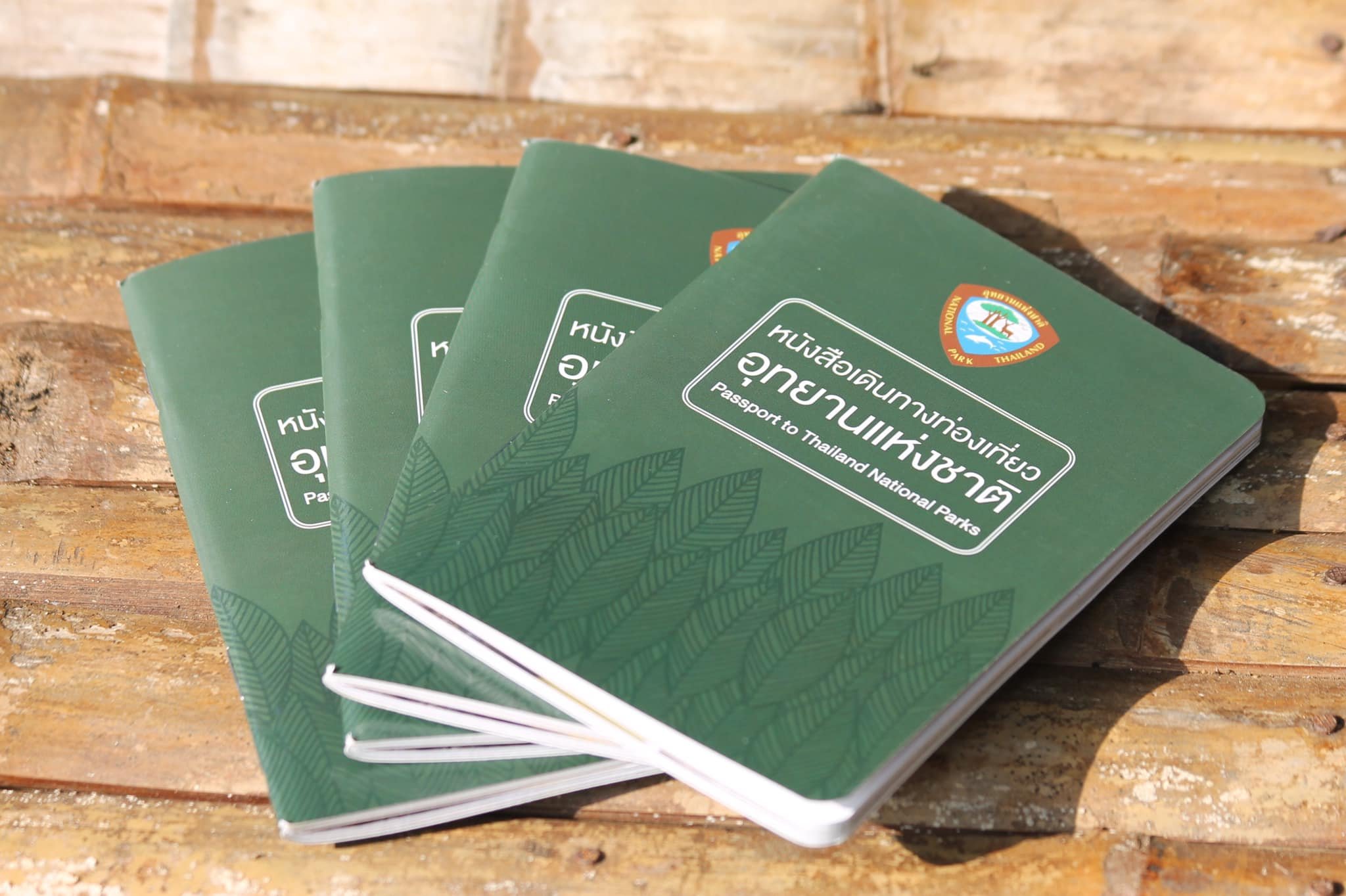 407628420_1126170741962107_84