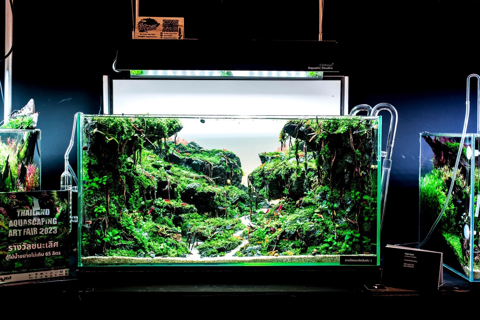 aquascaping_9