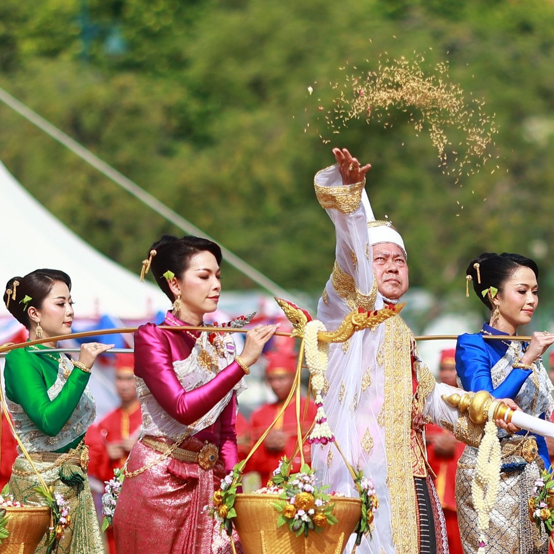 มีหรือที่จะพลาด! คอหวยแห่ส่องฤกษ์ไถหว่าน เลขรวมพันธุ์ข้าวพระราชทาน วันพืชมงคล