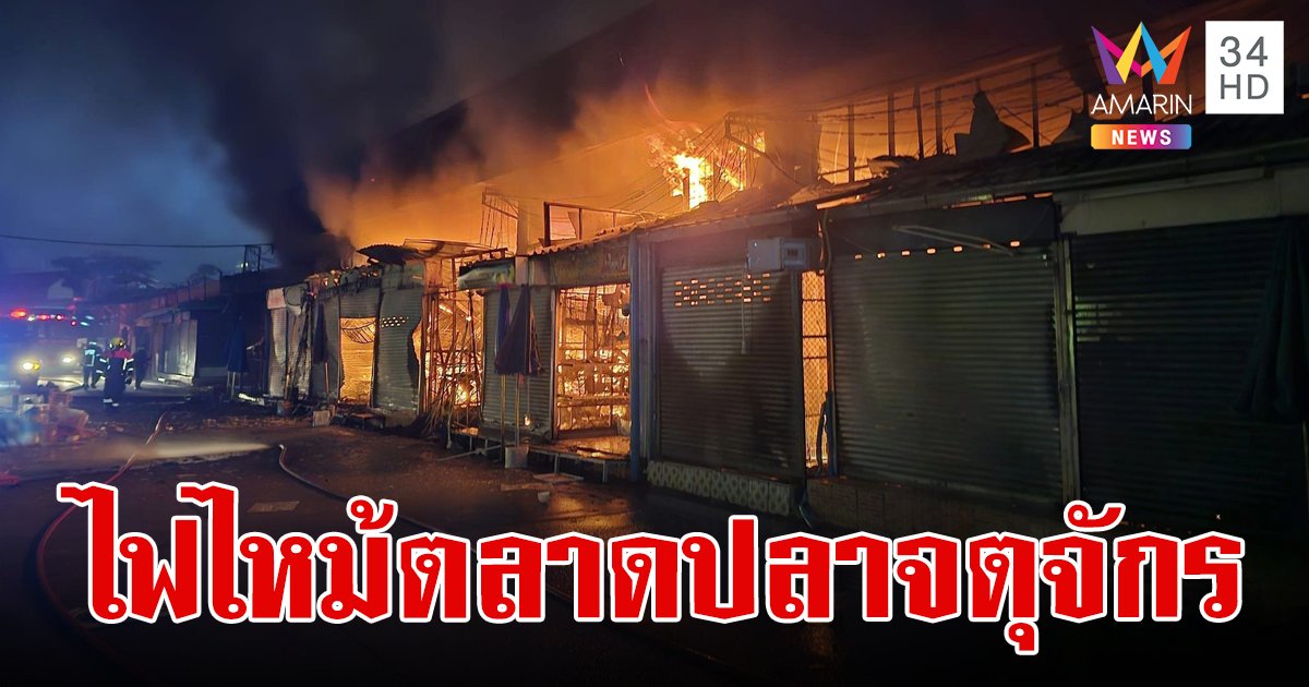 ไฟไหม้ตลาดปลาจตุจักร เพลิงผลาญวอด 118 ร้าน พบซากสัตว์ตายนับพันตัว