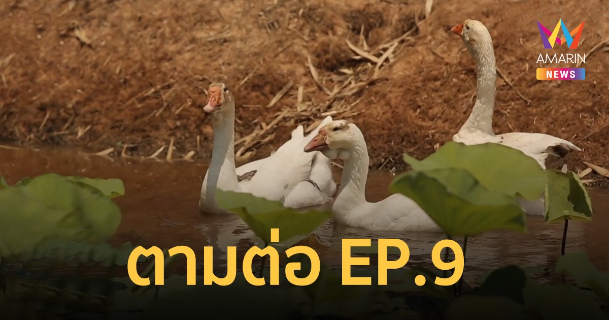 NEW GEN HUG บ้านเกิด SEASON 2 EP9 รอบ 8 ทีมสุดท้าย