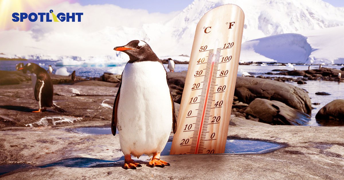 โลกเดือดขั้นวิกฤต อุณหภูมิขั้วโลกพุ่งเกินปกติ 38.5 องศา ระดับน้ำทะเลเพิ่มต่อเนื่อง 