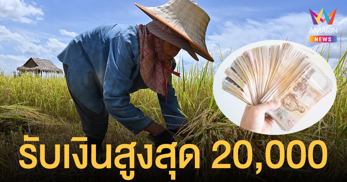 เงินช่วยเหลือเกษตรกร 2564/ 2565 วิธีเช็กสิทธิ ชาวนารับเงินสูงสุด 20,000 บาท