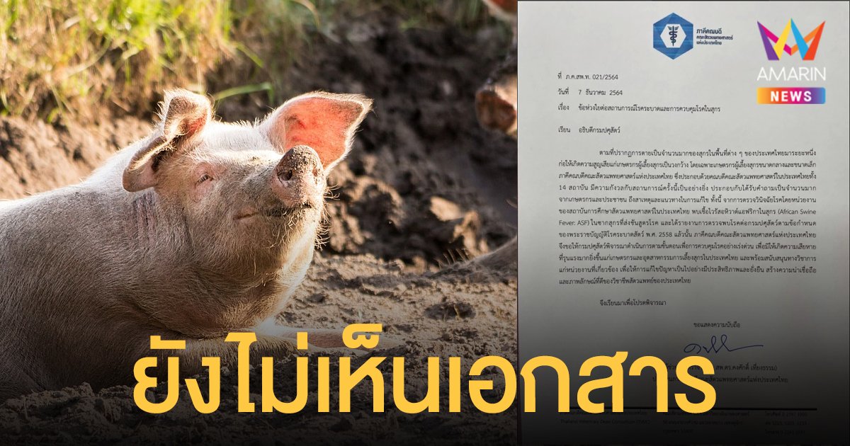 ปม หมูไทยติด โรค ASF อธิบดีกรมปศุสัตว์ เผยไม่เคยเห็นหนังสือ ภาคีคณบดีคณะสัตวแพทยศาสตร์แห่งประเทศไทย