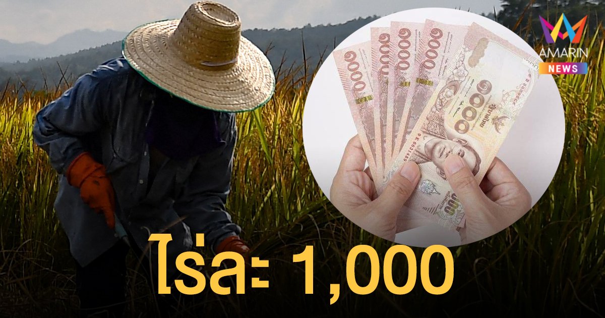 ตรวจสอบ เงินประกันรายได้เกษตรกร เงินช่วยเหลือไร่ละ 1,000 ใครได้บ้าง
