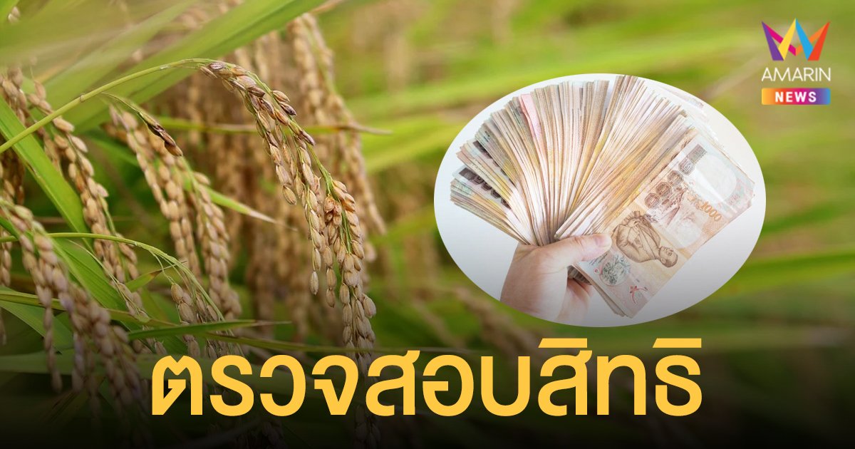 เงินเกษตรกร ตรวจสอบสิทธิ เงินประกันรายได้เกษตรกร 2564/65 