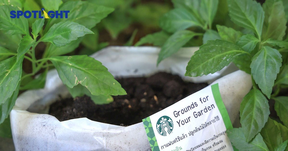 กากกาแฟ Starbucks แจกฟรี ชวนรักษ์โลกวัน Earth Day นำแก้วมาเองแถมส่วนลด