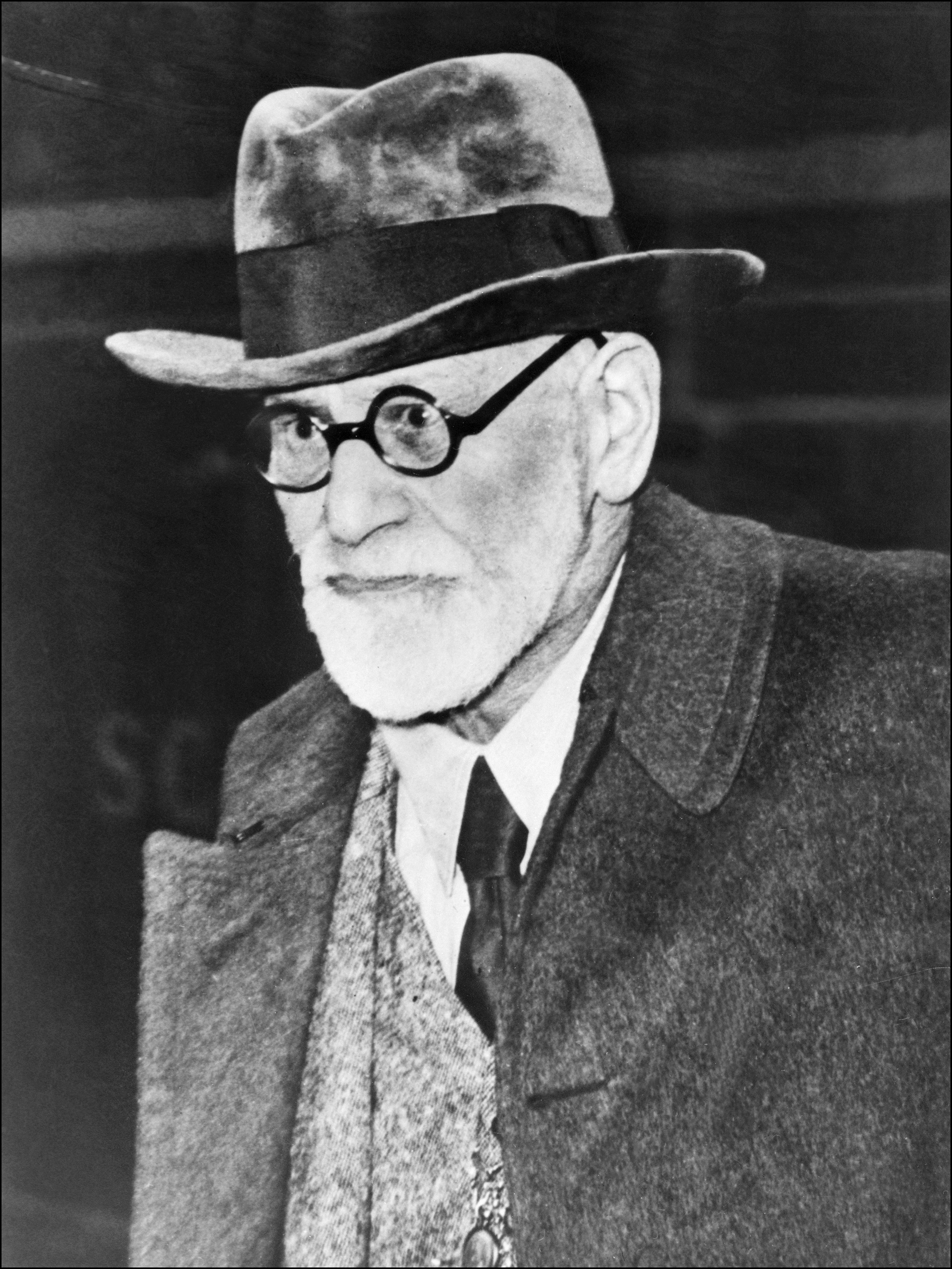 Sigmund Freud สงครามโลก