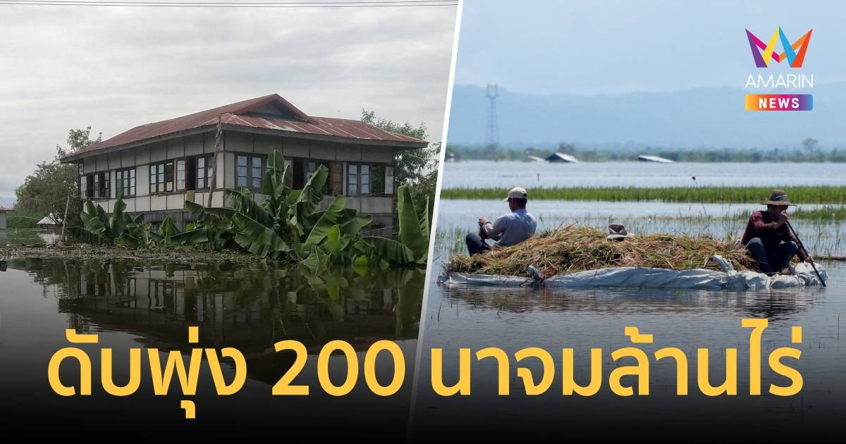 ร่ำไห้ระงม! เผยยอดจริงมหาอุทกภัยเมียนมา ดับทะลุ 200 ศพ  