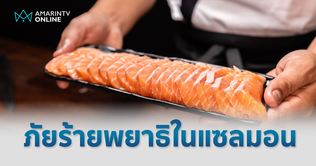 พยาธิในแซลมอน ภัยร้ายแฝงในปลาดิบ ยิ่งเก็บข้ามวันยิ่งอันตราย 