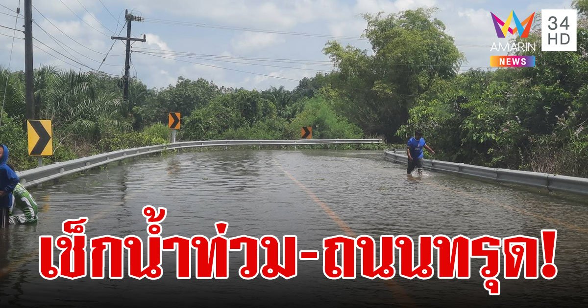 เส้นทางน้ำท่วมวันนี้ 2567 ทางหลวงน้ำท่วม น้ำท่วมเชียงราย เช็กเลยที่นี่