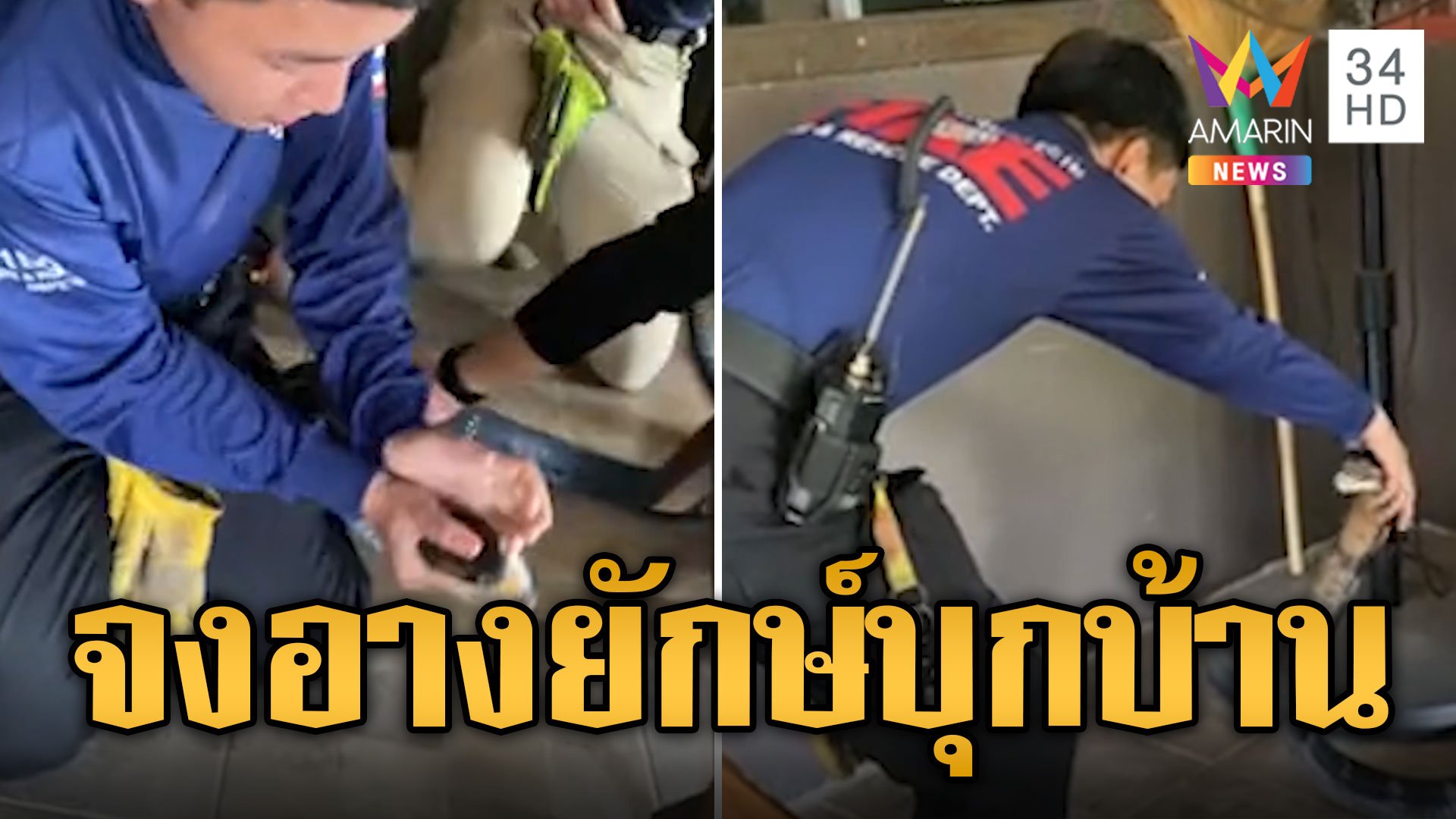 ระทึก! จงอางยักษ์บุกบ้าน ทีมอสรพิษโชว์จับด้วยมือเปล่า | ข่าวอรุณอมรินทร์ | 18 พ.ค. 67 | AMARIN TVHD34