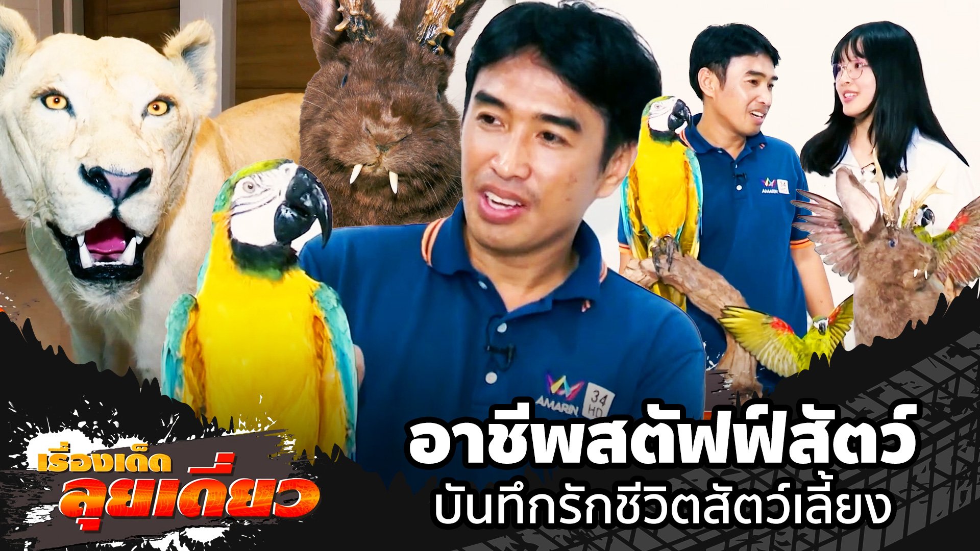 เรื่องเด็ดลุยเดี่ยว | อาชีพสตัฟฟ์สัตว์ บันทึกรักชีวิตสัตว์เลี้ยง | ข่าวเที่ยงอมรินทร์ | 22 มิ.ย. 67 | AMARIN TVHD34