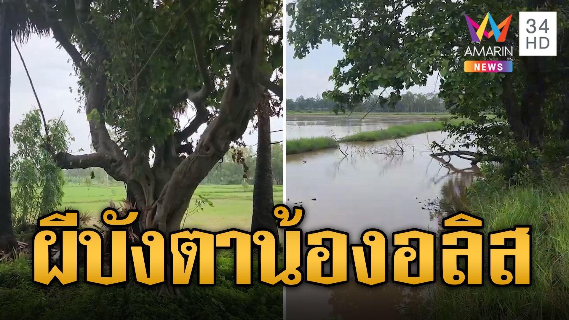 ชาวบ้านเชื่อ ผีต้นโพธิ์ บังตาพาอลิสไปอยู่ด้วย | ข่าวอรุณอมรินทร์ | 24 มิ.ย. 67 | AMARIN TVHD34