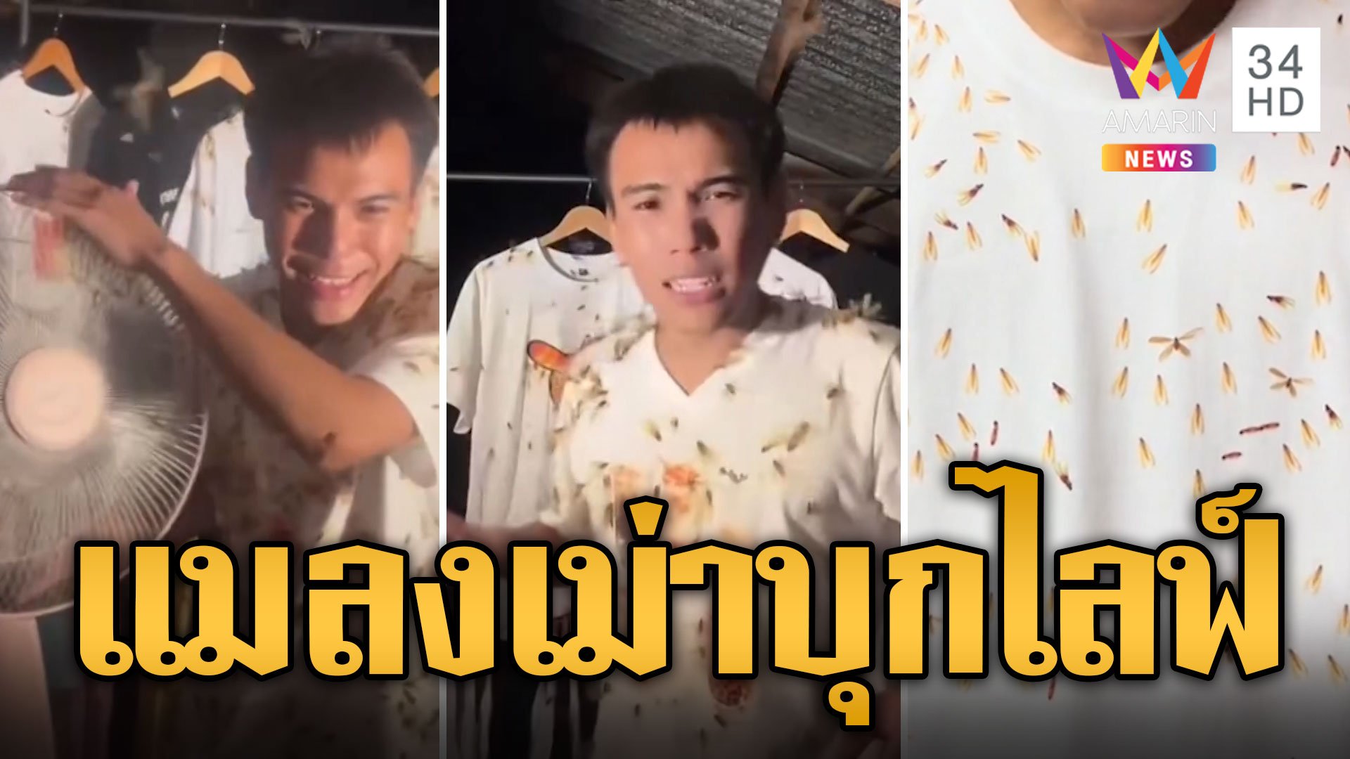 หนุ่มไลฟ์ขายเสื้อ สู้ชีวิตแมลงเม่าเกาะเต็มเสื้อ | ข่าวอรุณอมรินทร์ | 28 พ.ค. 67 | AMARIN TVHD34