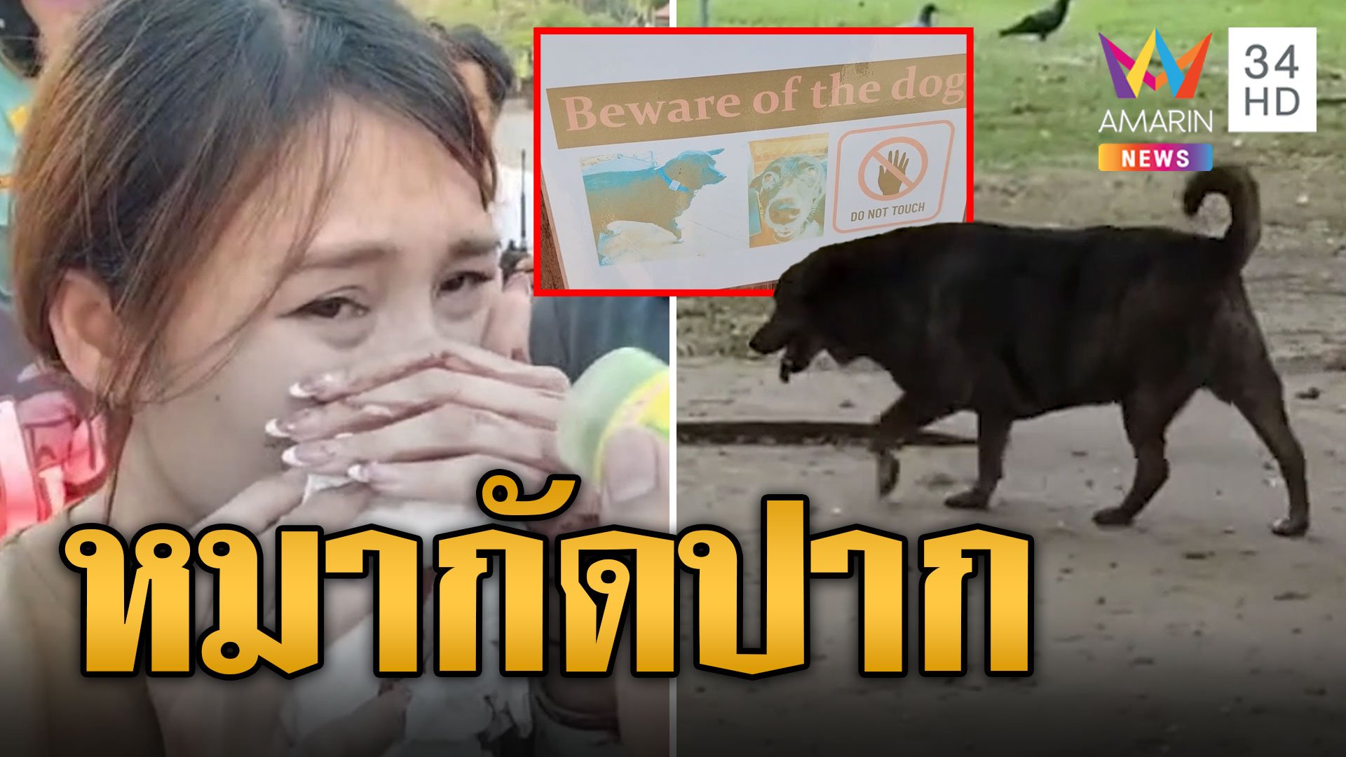 สาวสุดซวย! ไปเล่นกับหมา ถูกกัดปากเลือดอาบ | ข่าวอรุณอมรินทร์ | 3 พ.ย. 67 | AMARIN TVHD34