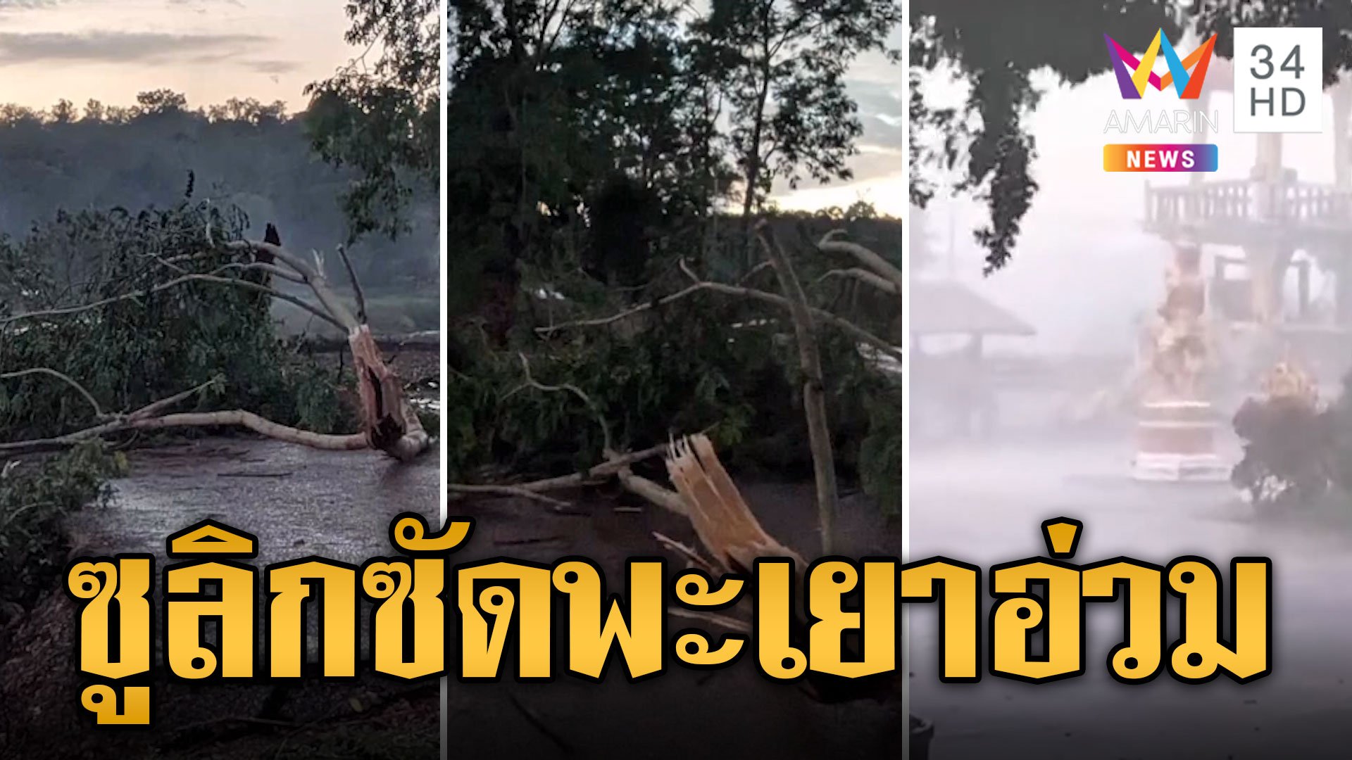 พายุซูลิกซัดพะเยาอ่วม ฝนถล่มต้นไม้หักโค่นหม้อแปลงระเบิด | ข่าวเที่ยงอมรินทร์ | 20 ก.ย. 67 | AMARIN TVHD34