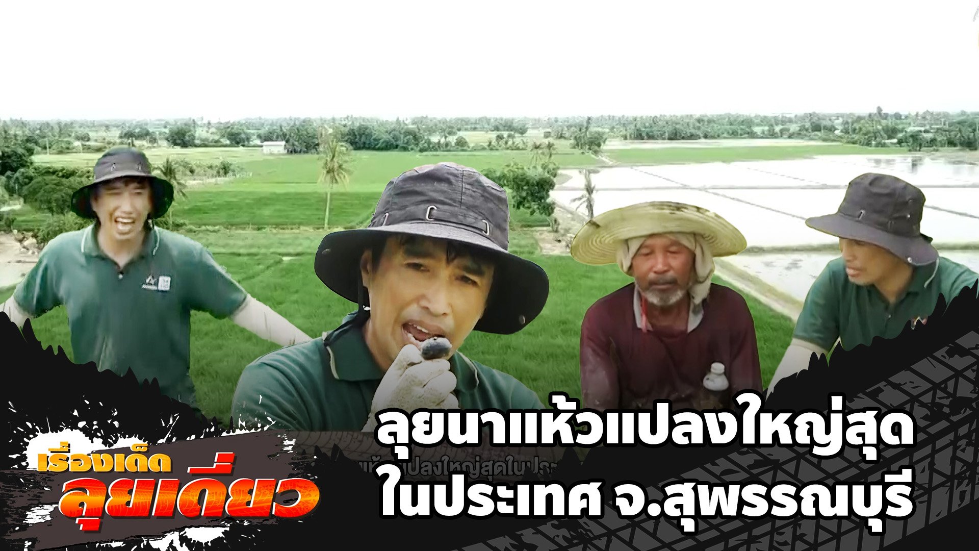 เรื่องเด็ดลุยเดี่ยว | ลุยนาแห้วแปลงใหญ่สุดในประเทศ จ.สุพรรณบุรี  | ข่าวเที่ยงอมรินทร์ | 22 ก.ย. 67 | AMARIN TVHD34