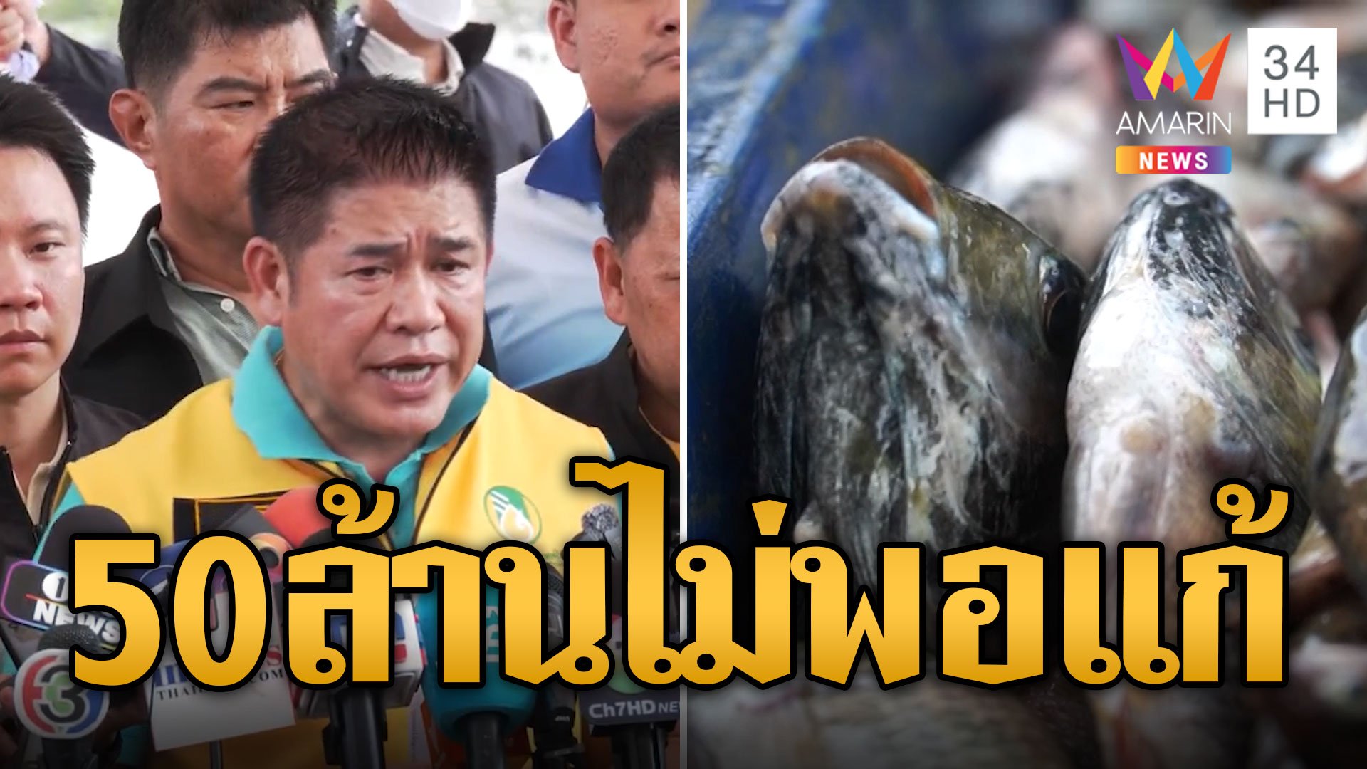 ฟิตจัด ธรรมนัส รับ 9 มาตรการแก้ปัญหาปลาเอเลี่ยน | ข่าวอรุณอมรินทร์ | 23 ก.ค. 67 | AMARIN TVHD34