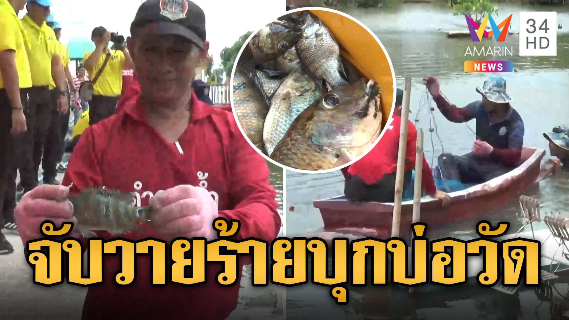 เป็นทุกอย่างให้เธอแล้ว ตร.ลุยบ่อจับวายร้ายคางดำบุกวัด | ข่าวอรุณอมรินทร์ | 28 ก.ค. 67 | AMARIN TVHD34