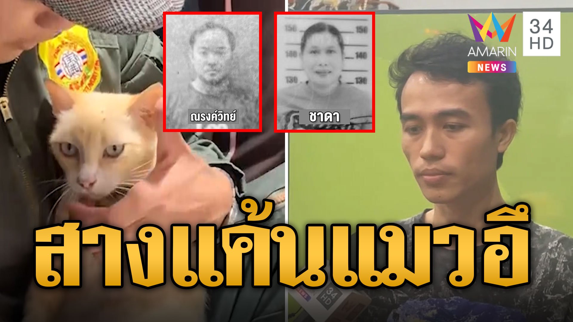 สางแค้นแมวอึ ยิงเพื่อนบ้านผัวเมียดับ | ข่าวเที่ยงอมรินทร์ | 4 ก.ย. 67 | AMARIN TVHD34