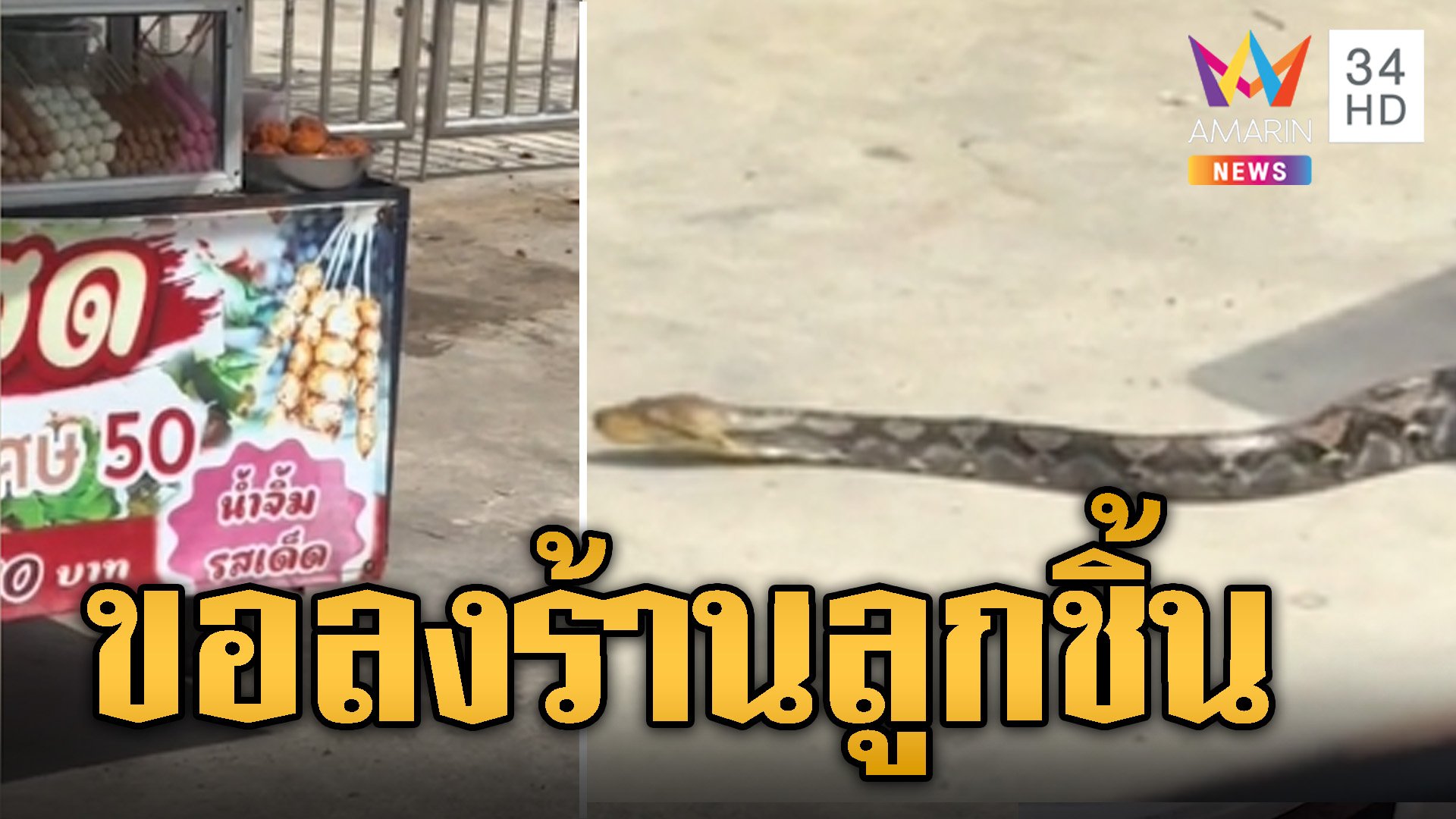 ตื่นทั้งถนน เหลือมตัวเขื่องพาดท้ายกระบะ ขอลงร้านลูกชิ้น | ข่าวอรุณอมรินทร์ | 9 ก.ย. 67 | AMARIN TVHD34