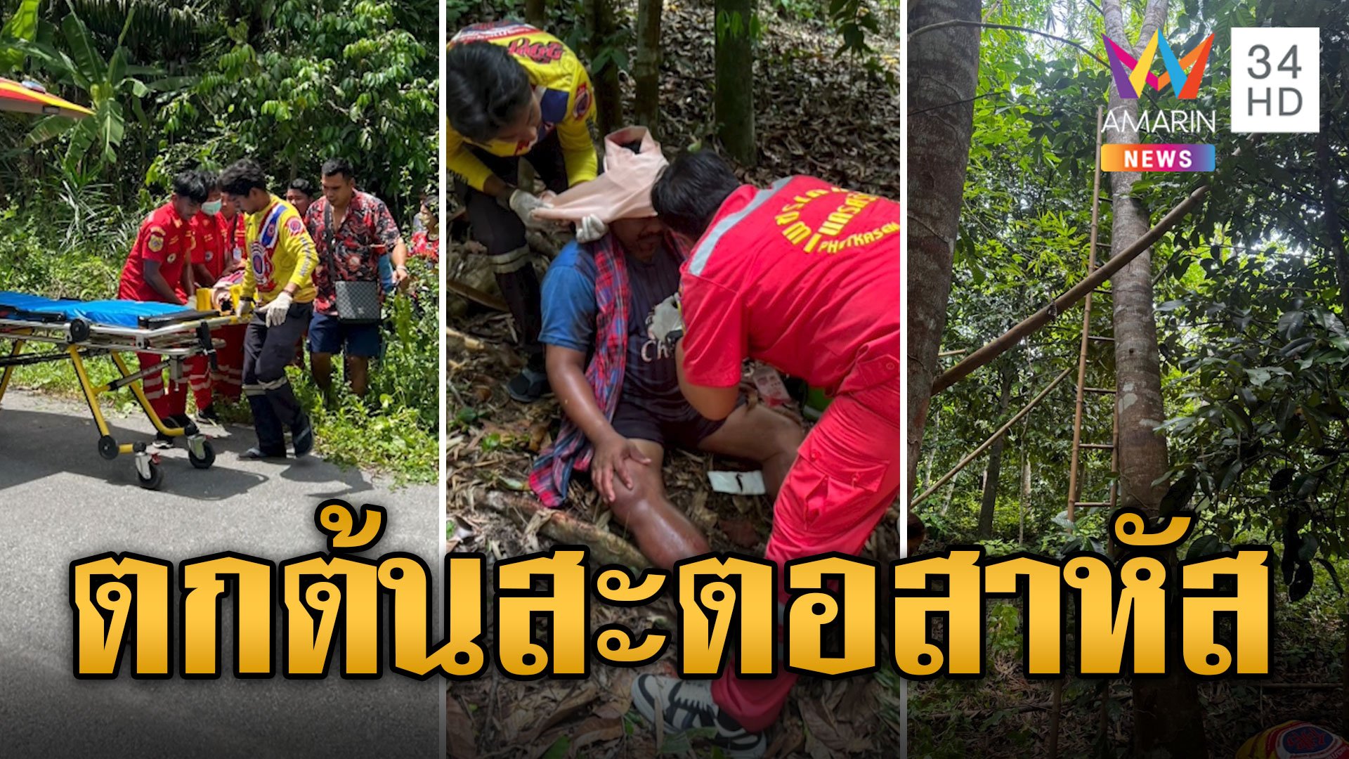 หนุ่มตกต้นสะตอ สูง 8 เมตร หัวบุบหน้าผากยุบสาหัส | ข่าวอรุณอมรินทร์ | 10 ก.ค. 67 | AMARIN TVHD34