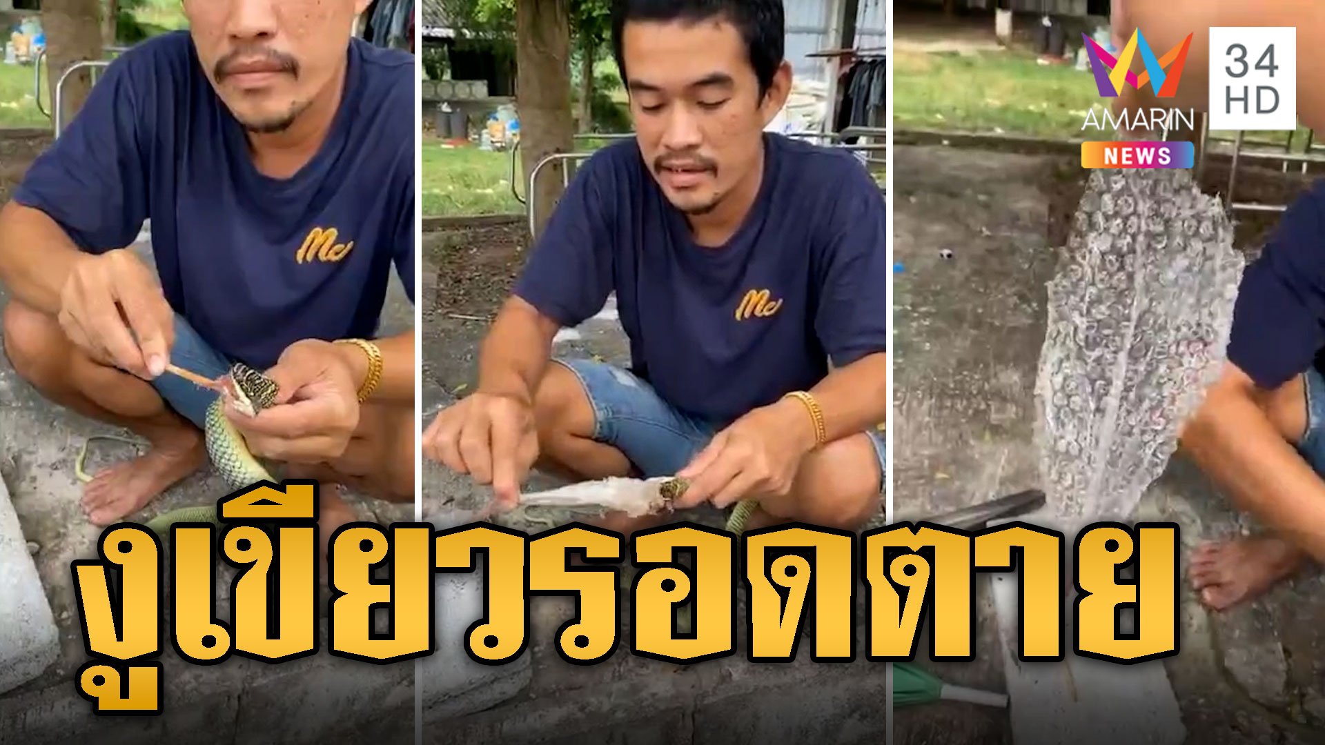 หนุ่มใจดี ช่วยดึงพลาสติกออกจากปากงูเขียว | ข่าวอรุณอมรินทร์ | 22 ส.ค. 67 | AMARIN TVHD34