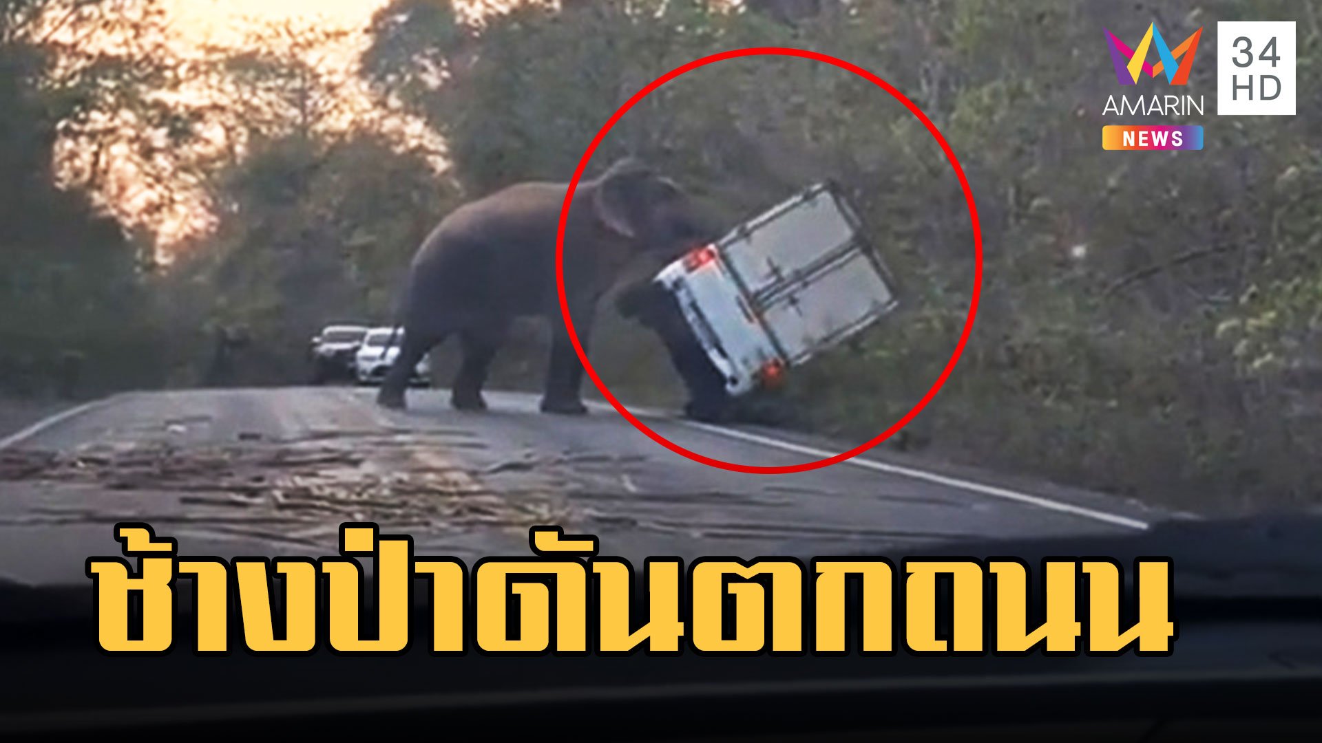ช้างป่าเขาอ่างฤาไน โผล่ดันรถกระบะตู้ทึบตกถนน | ข่าวอรุณอมรินทร์ | 6 มี.ค. 66 | AMARIN TVHD34