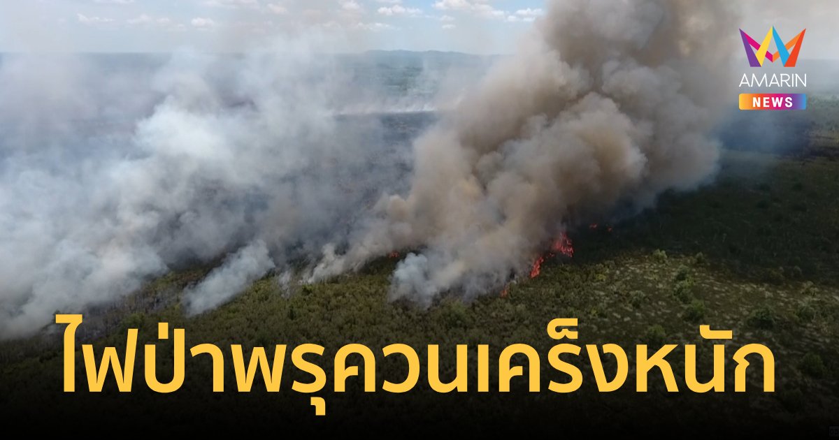 ไฟไหม้ป่าพรุควนเคร็งรอบใหม่ลามหนัก เสียหายแล้วกว่า 1,000ไร่