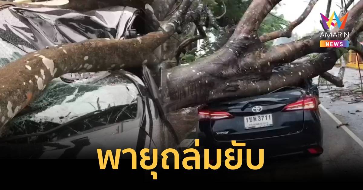 พายุถล่ม 20 นาที ต้นไม้โค่นทับเก๋ง รอดตายหวุดหวิด