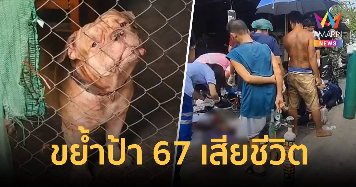 พิตบุลล์ขย้ำป้าวัย 67 ปี เสียชีวิต 