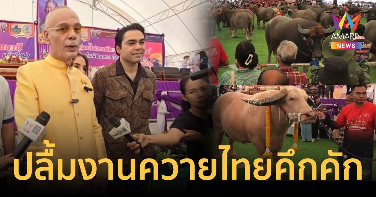ชาดา ปลื้มเทศกาลควายไทยเงินสะพัดพันล้าน ชูอุทัยธานีเป็นสนามประมูลควาย