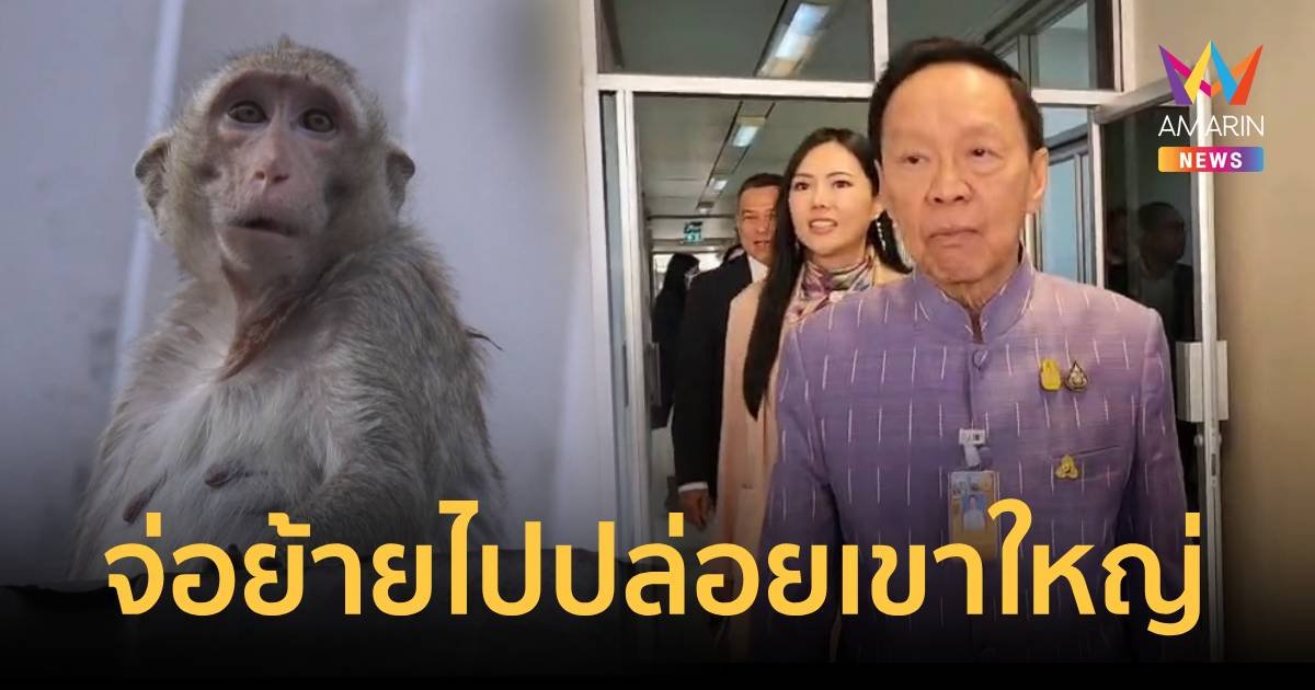 พัชรวาท สั่งตั้งศูนย์จับลิงลพบุรี คุยชาวบ้านแล้วย้ายลิงไปเขาใหญ่