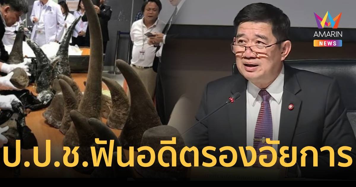 ป.ป.ช. ฟันอดีตรองอัยการฯ พัวพันนำเข้า นอแรด 179 ล้าน 