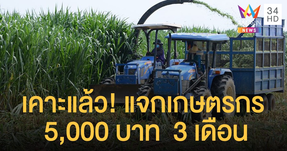 เคาะแล้ว! แจก "เกษตรกร" 5,000 บาท  3 เดือน เยียวยา 9 ล้านทะเบียนเกษตรกร