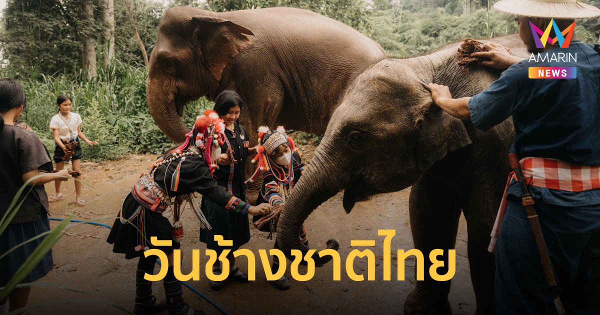 อนันตราฯ จัดกิจกรรม "วันช้างชาติไทย" นวดบำบัดช้าง โดยผู้เชี่ยวชาญระดับโลก