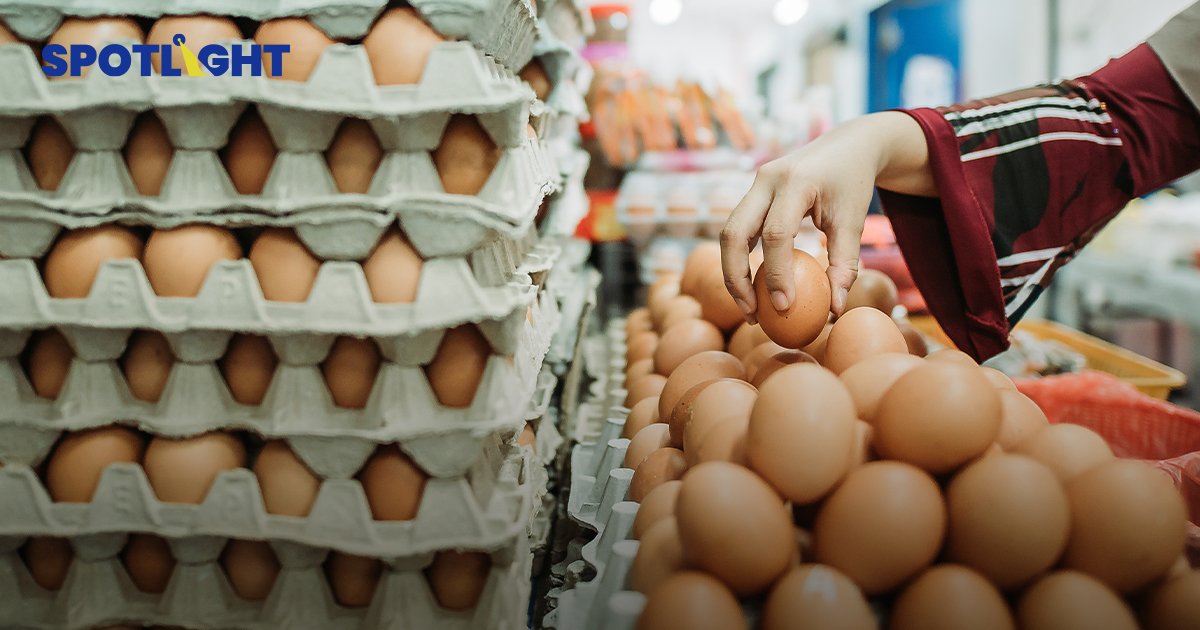 ไข่ไก่ขึ้นราคาเป็น 3.20 บาท/ฟอง มีผลวันนี้  แนวโน้มราคาไข่ไก่ขาขึ้น ต้นทุนการเลี้ยงพุ่งต่อเนื่อง