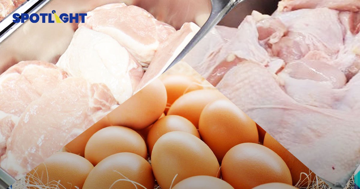 หมู ไข่ ไก่ ราคาเริ่มลงแล้ว ก.พาณิชย์ ยืนยัน  ราคาหมูเฉลี่ยทั่วไทย 155 บาท /กก.