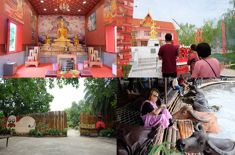 พื้นที่เมืองรอง4