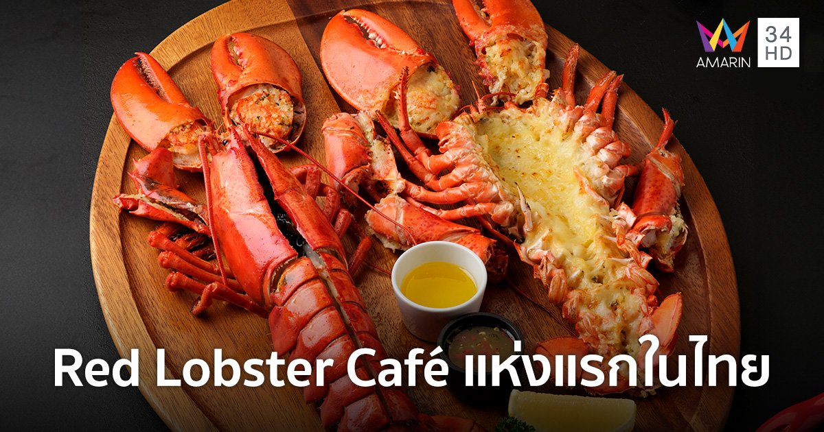 เตรียมพบ! Red Lobster สาขา 2 คอนเซปต์ใหม่ Red Lobster Café แห่งแรกในไทย 1 ธ.ค.นี้