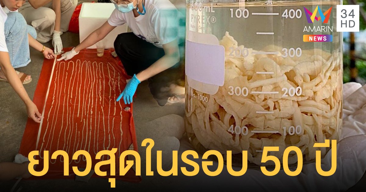 อวสานอาหารกลางวัน พบ พยาธิตืดวัว ยาว 18 เมตร ทุบสถิติไทยในรอบ 50 ปี