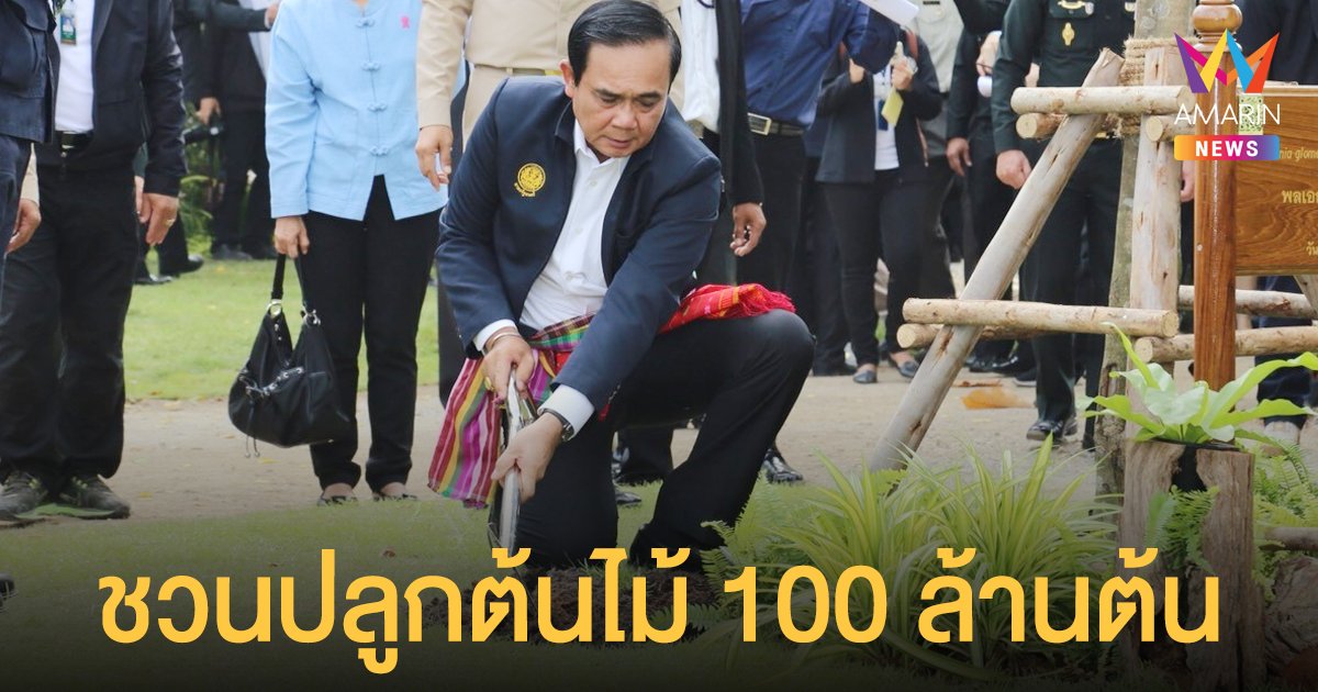 นายกฯ ตั้งเป้าลดปล่อยก๊าซเรือนกระจก ชวนคนไทยปลูกต้นไม้ 100 ล้านต้น ภายในปี 65