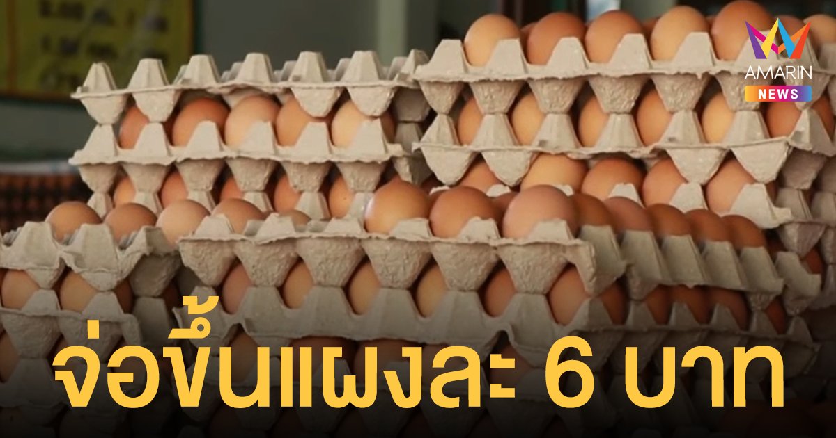 ชาวบ้านโอดครวญ ไข่ไก่ แพงอีก พิษณุโลกจ่อขึ้นราคา 6 บาทต่อแผง