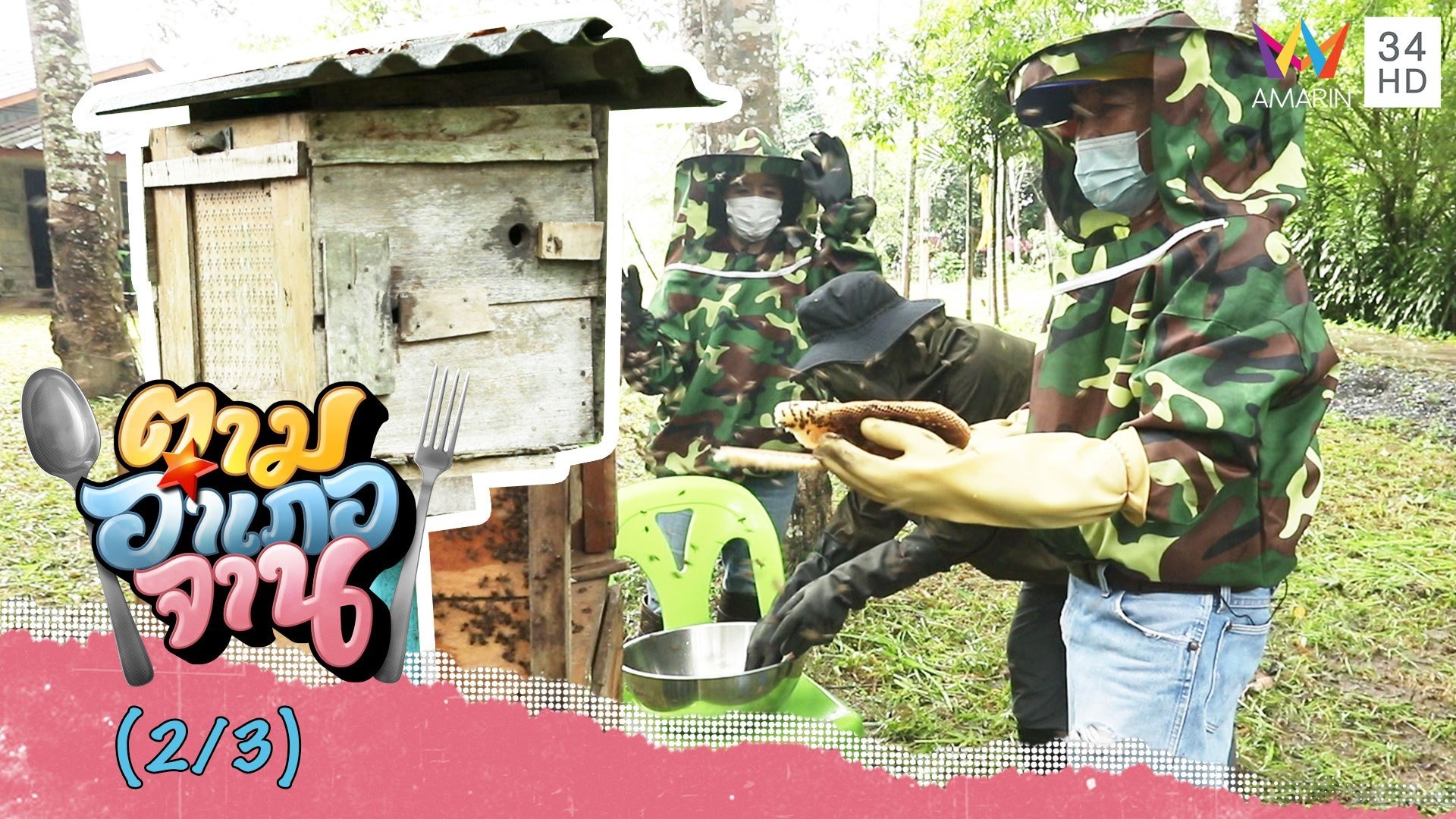 เข้าสวนส่องการเก็บรังผึ้งโพรง | ตามอำเภอจาน | 18 ธ.ค. 64 (2/3) | AMARIN TVHD34