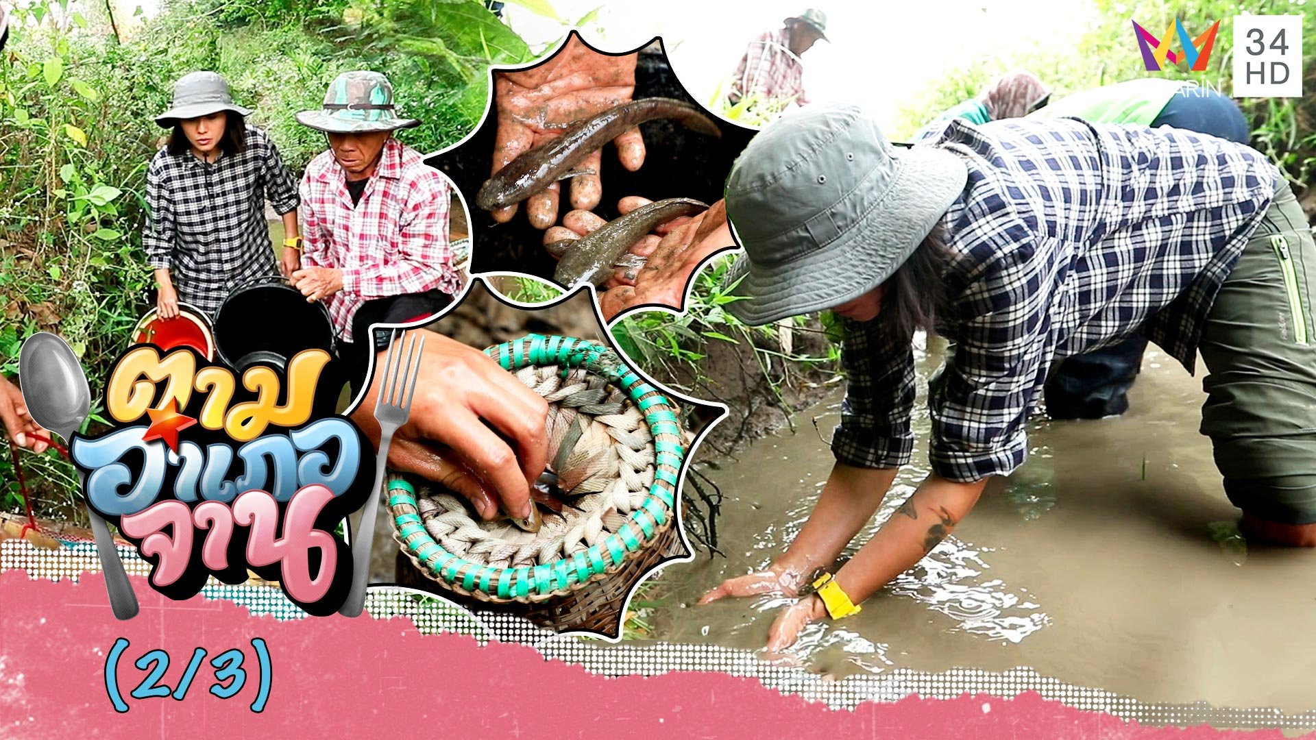 ขุดคันดิน-วิดน้ำ จับ 'ปลากั้ง' ด้วยมือเปล่า | ตามอำเภอจาน | 22 เม.ย. 66 (2/3) | AMARIN TVHD34